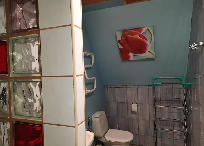 Sunrise Majutus 宾馆 派尔努