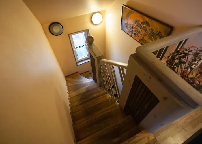 宾馆 Sunrise Majutus *