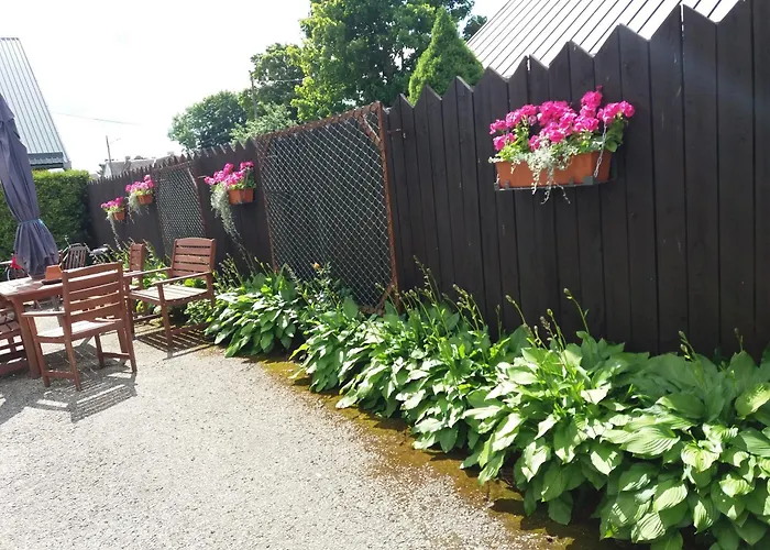 宾馆 Sunrise Majutus *