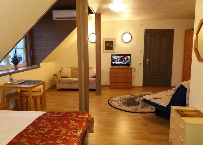 Sunrise Majutus * 派尔努