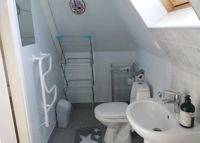 Sunrise Majutus 派尔努